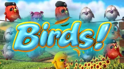 birds 473